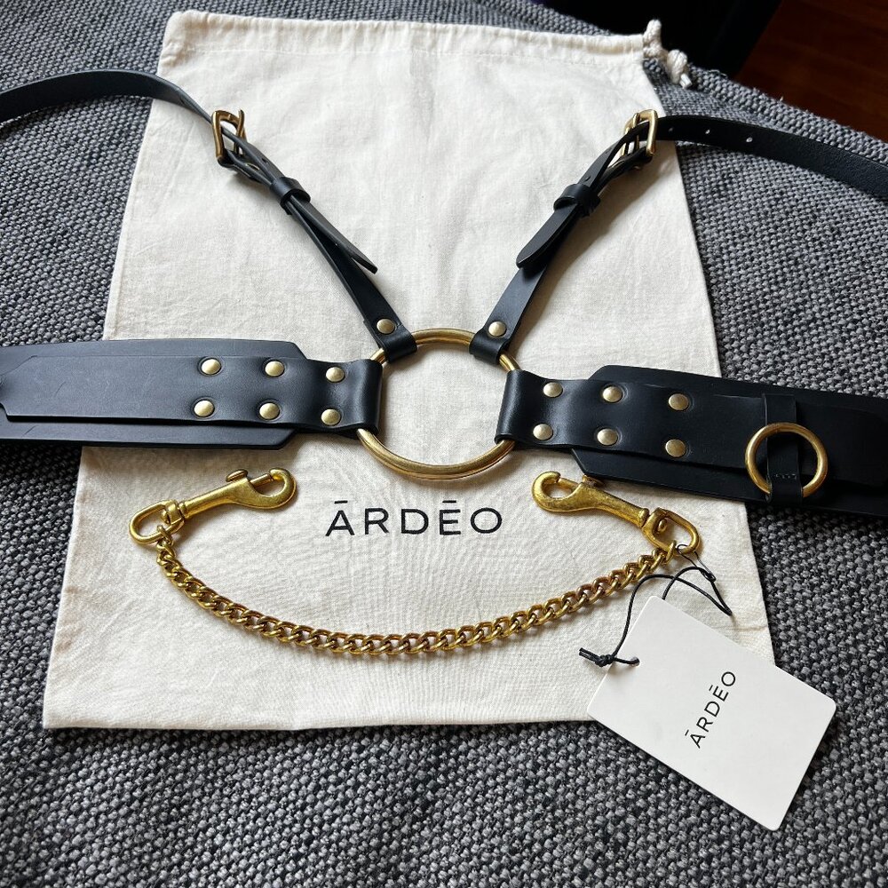 Ardeo Studios High Waisted Nickel Harness NWT + chain
